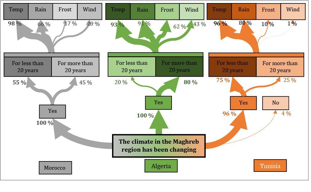 Figure 6 : Perception of climate and its change in the MAT (Morocco, Algeria, Tunisia) region in terms of temperature increase (temp.), decrease of precipitation (rain), wind and frost effects.